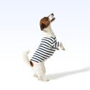 UCLUBP_PARISIAN PUP SHIRT